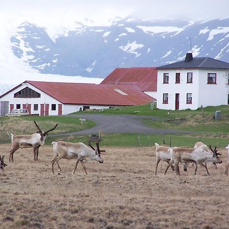 Guesthouse Hólmur Exterior foto
